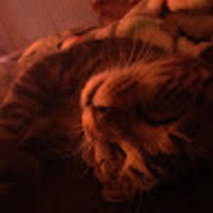 Meet your Posher, Tia